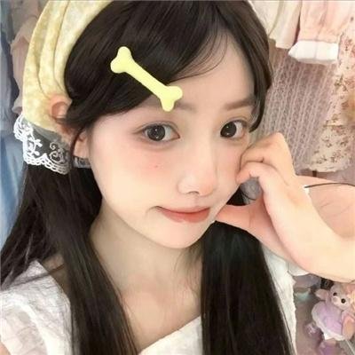 雁南飞
